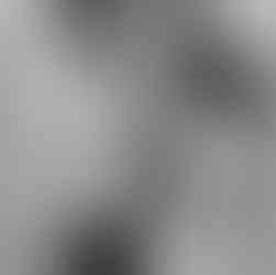 man vraagt vrouw ten huwelijk tijdens fotoshoot op het strand