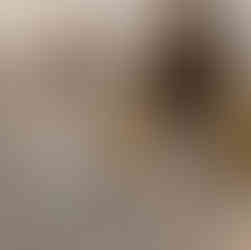 Deutsches Paar heiratet am Strand in Zeeland