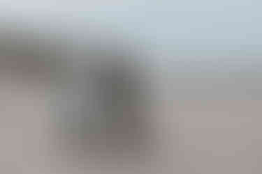 stel op het strand in Breskens