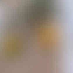 Dessert tijdens diner bruiloft