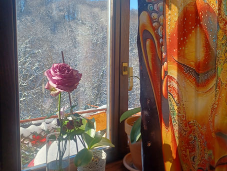 NAVIGACIJA ŽIVOTA-PRAKSA NASTALA SPONTANO 