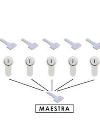 maestra.jpg