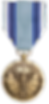 Air Reserve Forces Meritorious Service Medal
