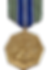 Army Achievement Medal Anodized