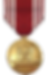 Army Good Conduct Medal, Anodize