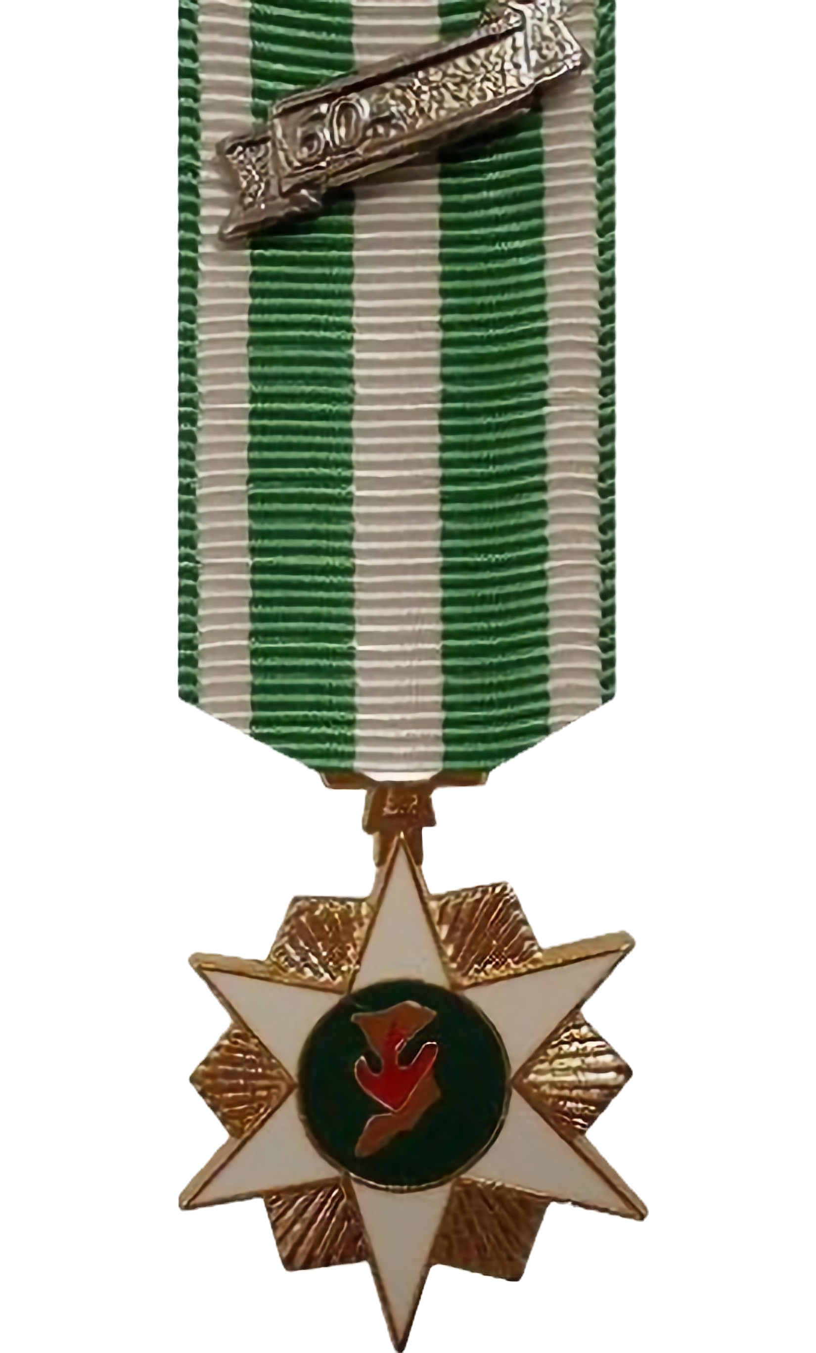 RVN Campaign Miniature Medal