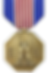 Army Soldier's Medal