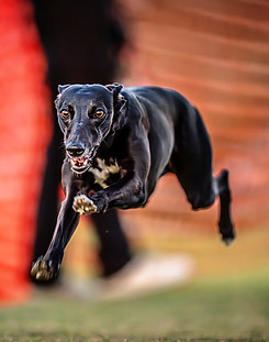 SPRINTS_FEB_8_9_2025_53.jpg