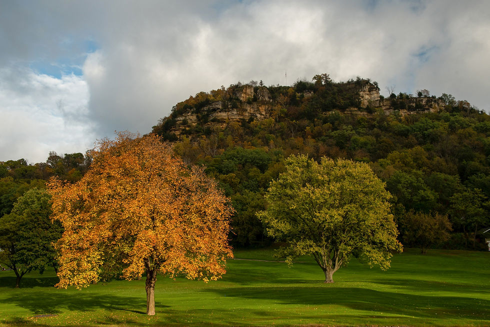 289 - Autumn in La Crosse