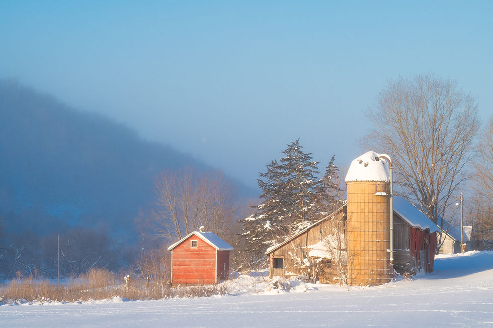 1259 - Winter Barn