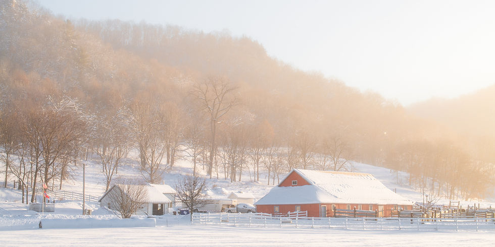 1260 - Wisconsin Winter Morning
