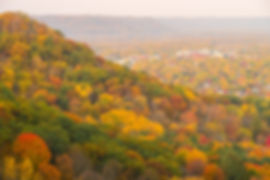 1471 - Fall Bluffside in La Crosse