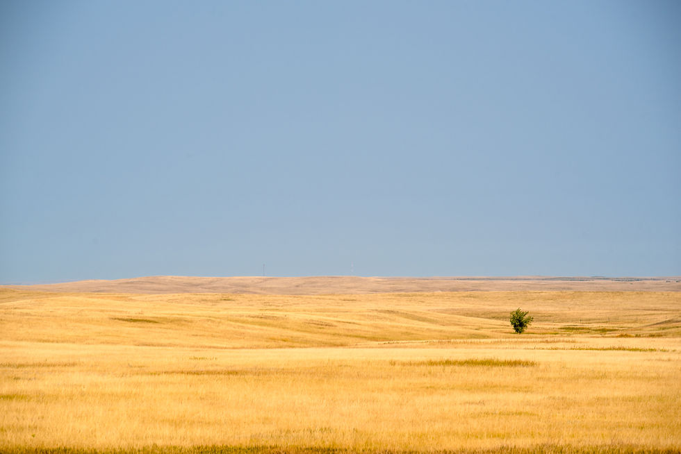 408 - Badland Prairie