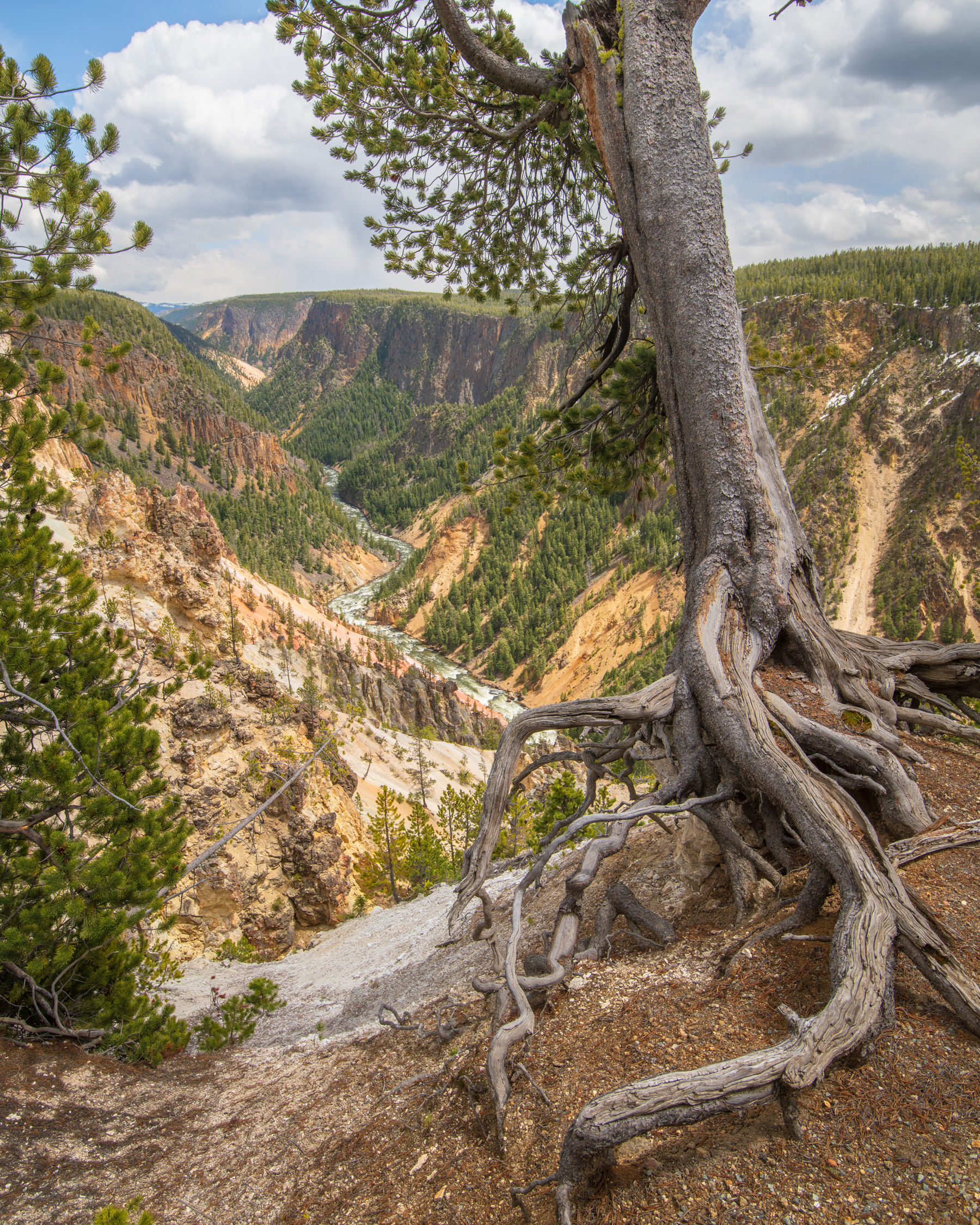 1366 - Yellowstone National Park