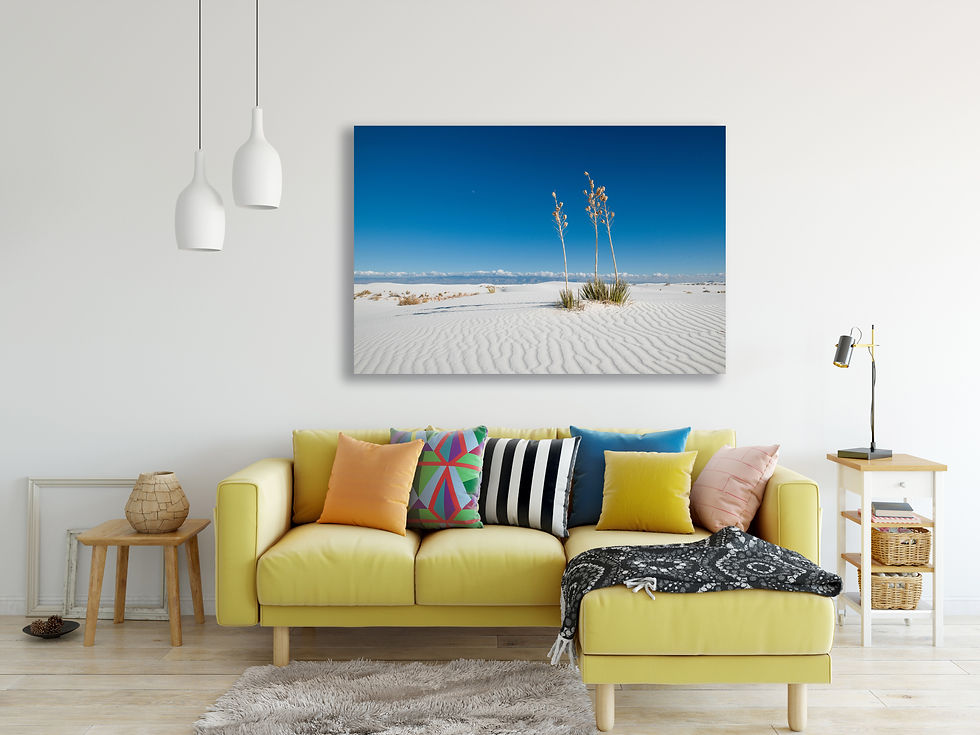 Thumbnail: 572 - Yuccas in White Sands