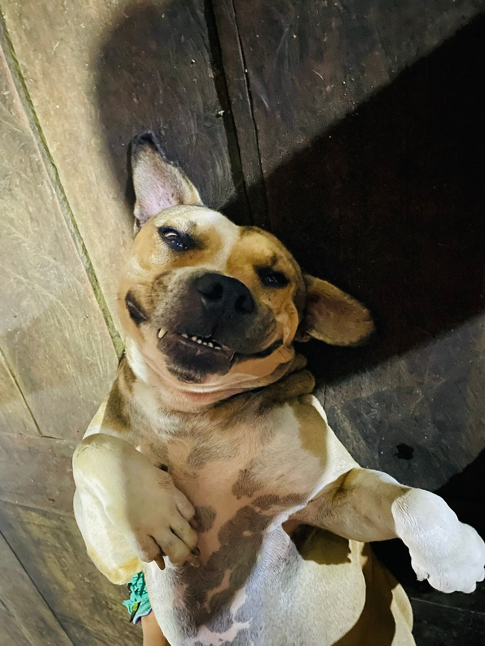 The happiest boy in Ecuador