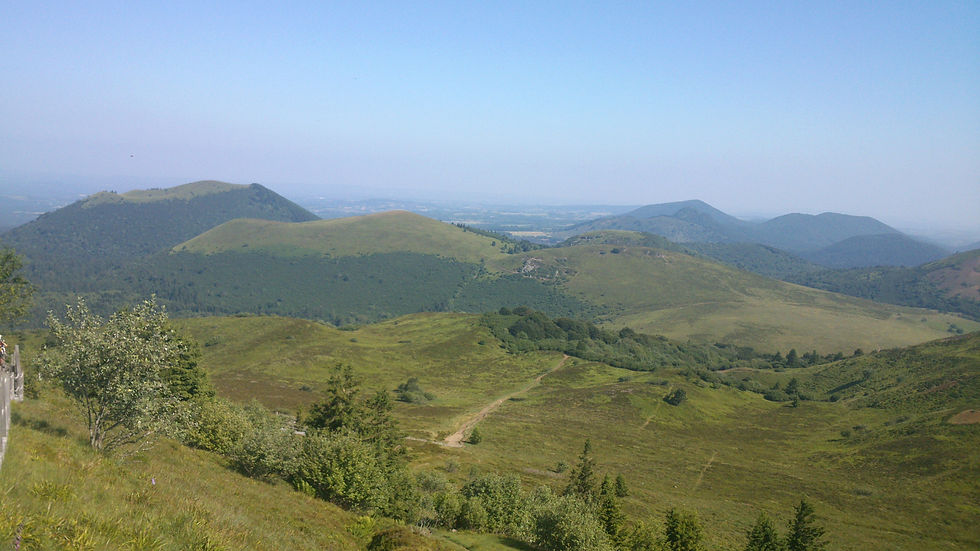 DSC_0014.jpg