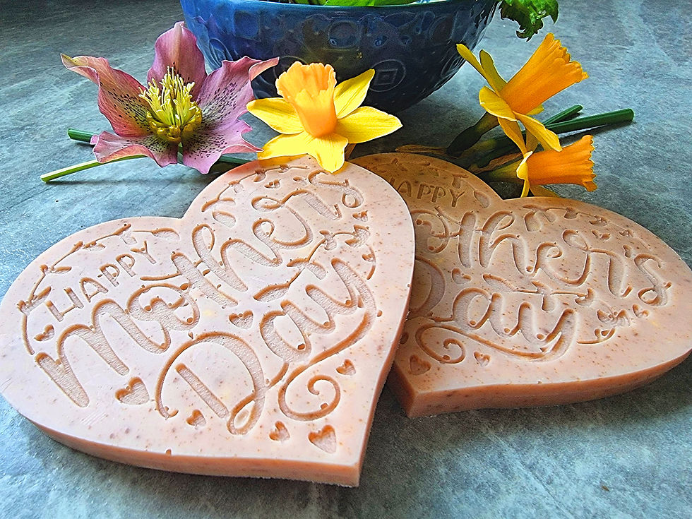 thumbnail_20250318_081801-fotor-2025031813344