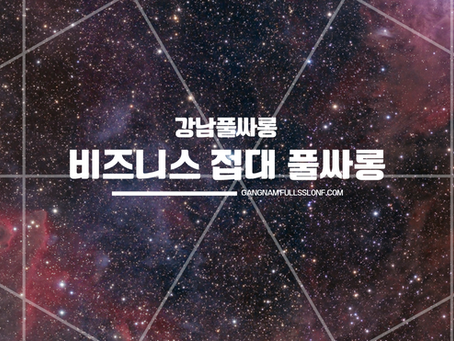 비즈니스 접대용 강남 풀싸롱 선택 가이드 | 거래처 접대 성공 전략 2025