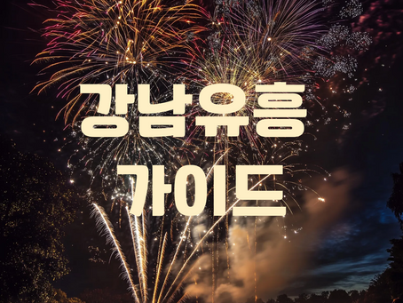 강남유흥 완전 가이드 2025 | 비용·예약·에티켓 총정리