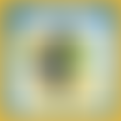 MEET JORDAN, Student Spotlight