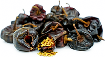 CASCABEL.png