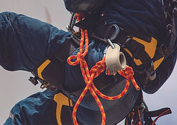 240119_wemo_WEB_13.jpg
