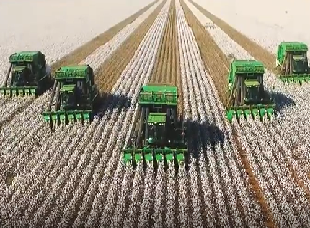 agro_310x.230png.png