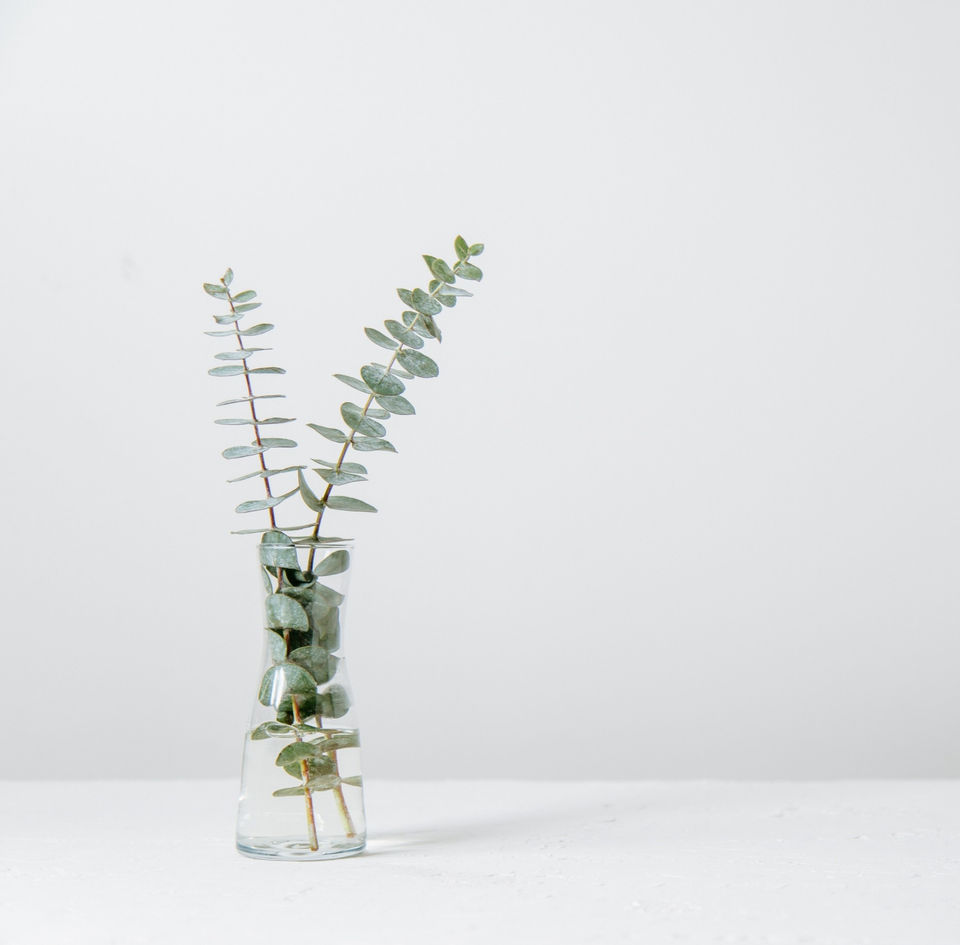 tim-chow-9IcKPSQ9G5Q-unsplash_edited_edited.jpg