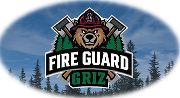FireGuardGriz.jpg