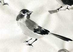 Ink Magpie - Ink Painting Sumie Yingge X