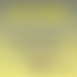 Mais uma curiosidade sobre o mundo dos sorvetes!