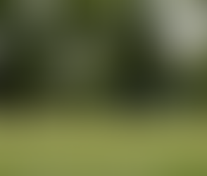 Opening Soon - Indiana Tech Purchases Donald Ross Golf Club