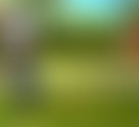 Happy New Year... golf's new modernised rules have landed! In no particular order, we list the m