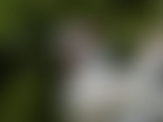 Dr. - Getting In His Rounds!!