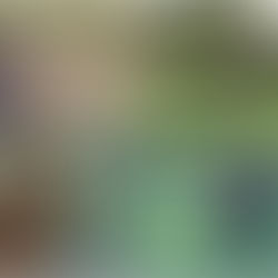 Golf Can Be The Craziest of Games