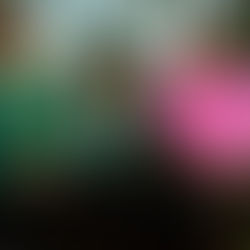 When Patrick Reed's past and present merge, a question of what's fair game