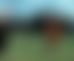 Legendary instructor Harvey Penick still looms large at Austin CC