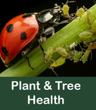 Plant & Tree Health