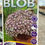 Thumbnail: Sedum Purple Blob 140mm pot