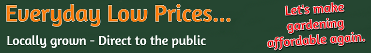 banner wide.png