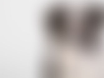 Steckbrief: Australian Shepherd