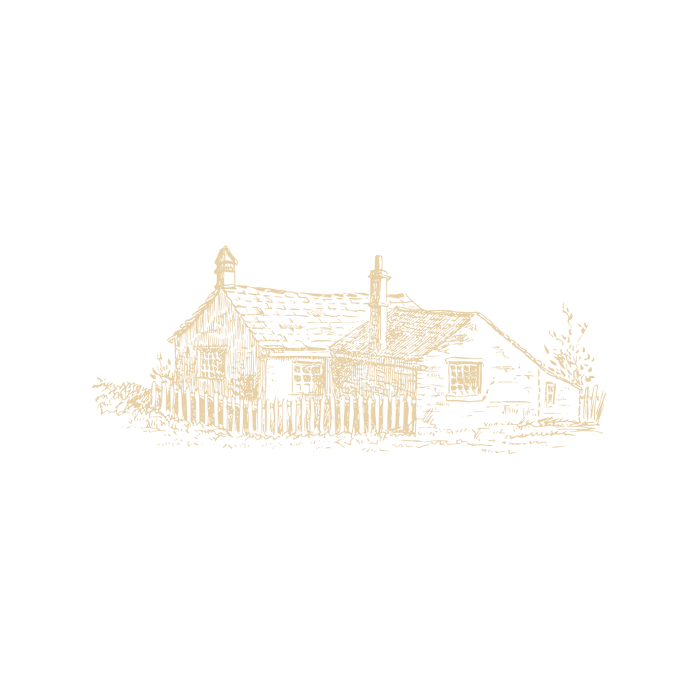 Website Image.png