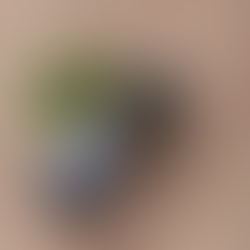 Beneficios de la cola de caballo para tu piel