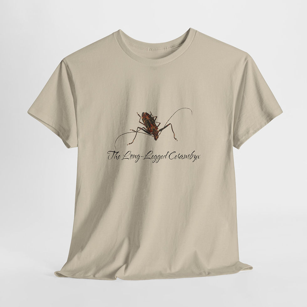 Thumbnail: image of beetle with title below it in cursive The Long-Legged Cerambyx Beetle on a t-shirt