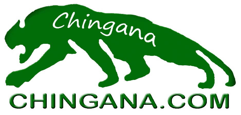 Chingana logo dot com.gif