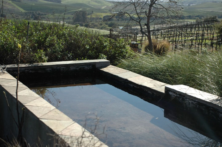 Custom Pond Project