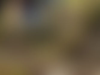 中電ウイング様と稲刈りとおにぎり作りの農業交流会を開催しました