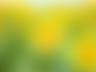 【笑顔の花が咲きました】