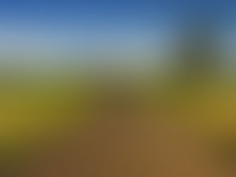 【立ってるだけなら地面だが、歩き出せば道になる】